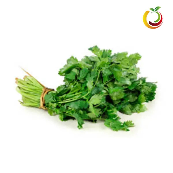 Cilantro