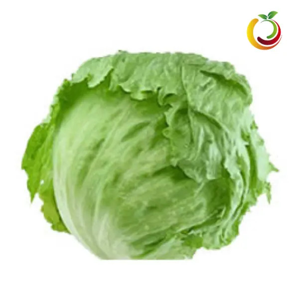 Lechuga