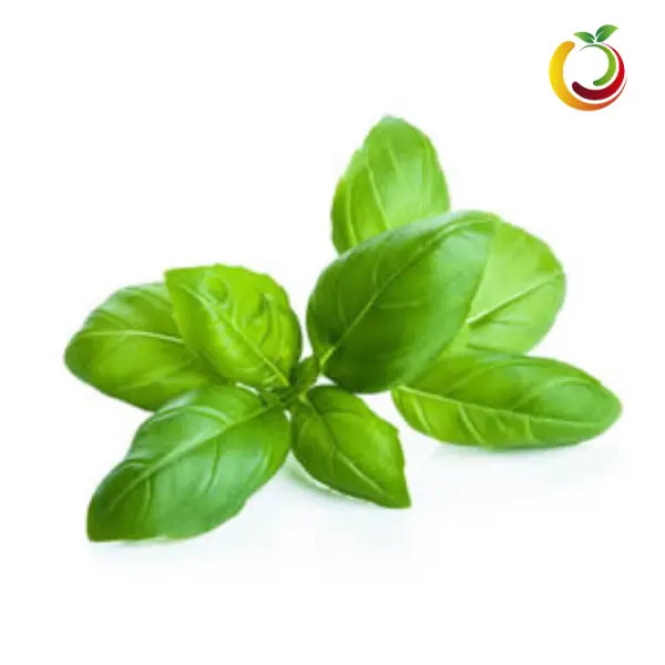 Albahaca